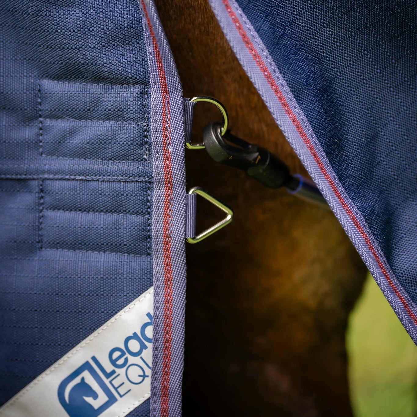 Close-up of the back of the leader equine boxter turnout in blue with a visible brand logo, featuring double tailcord rings and stitching details.