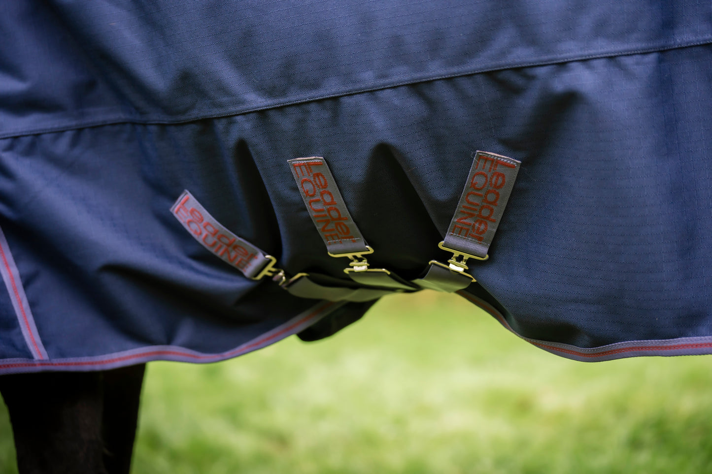 Close-up of a blue leader equine boxter turnout horse blanket with extra belly protection, triple straps and visible branding on a blurred green background.