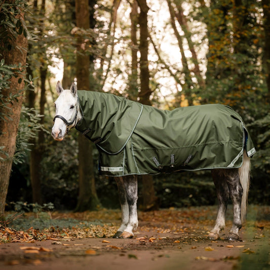 Horse wearing a green rug in a forest setting