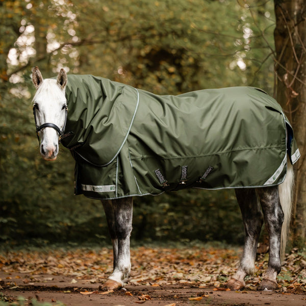 Horse wearing a green leader equine boxter turnout rug in a forest setting