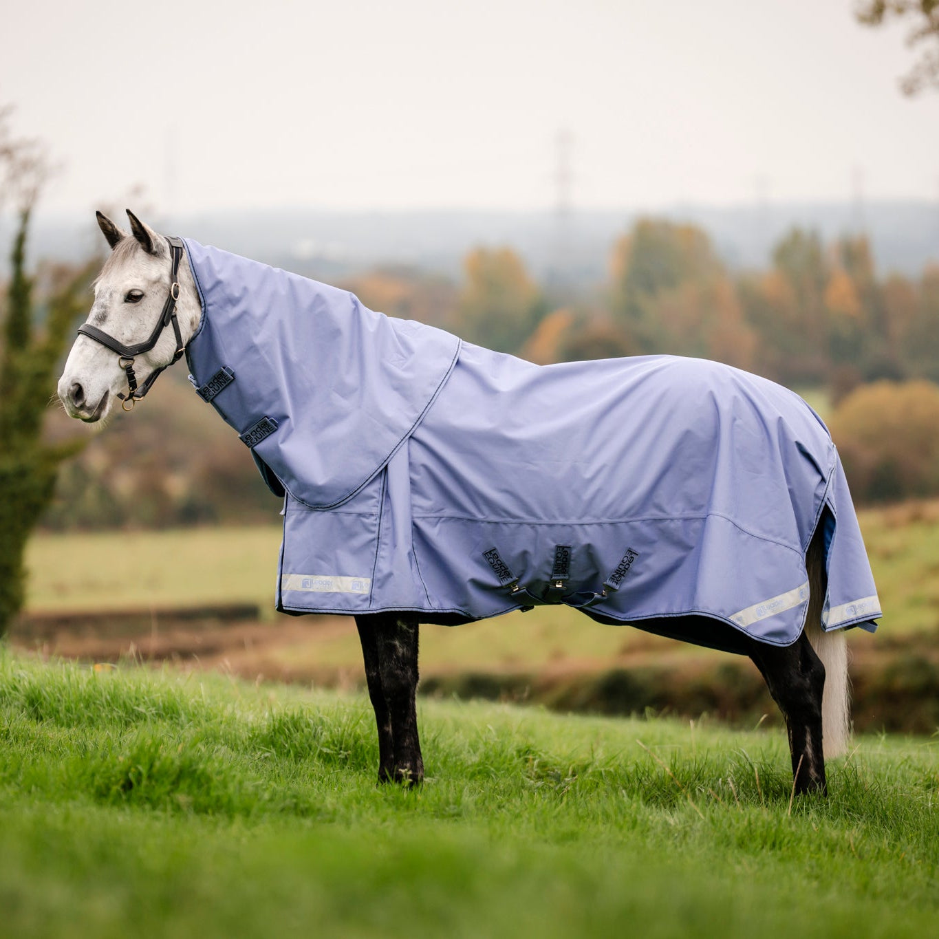 Horse wearing a leader equine light blue rug in a grassy field with trees in the background