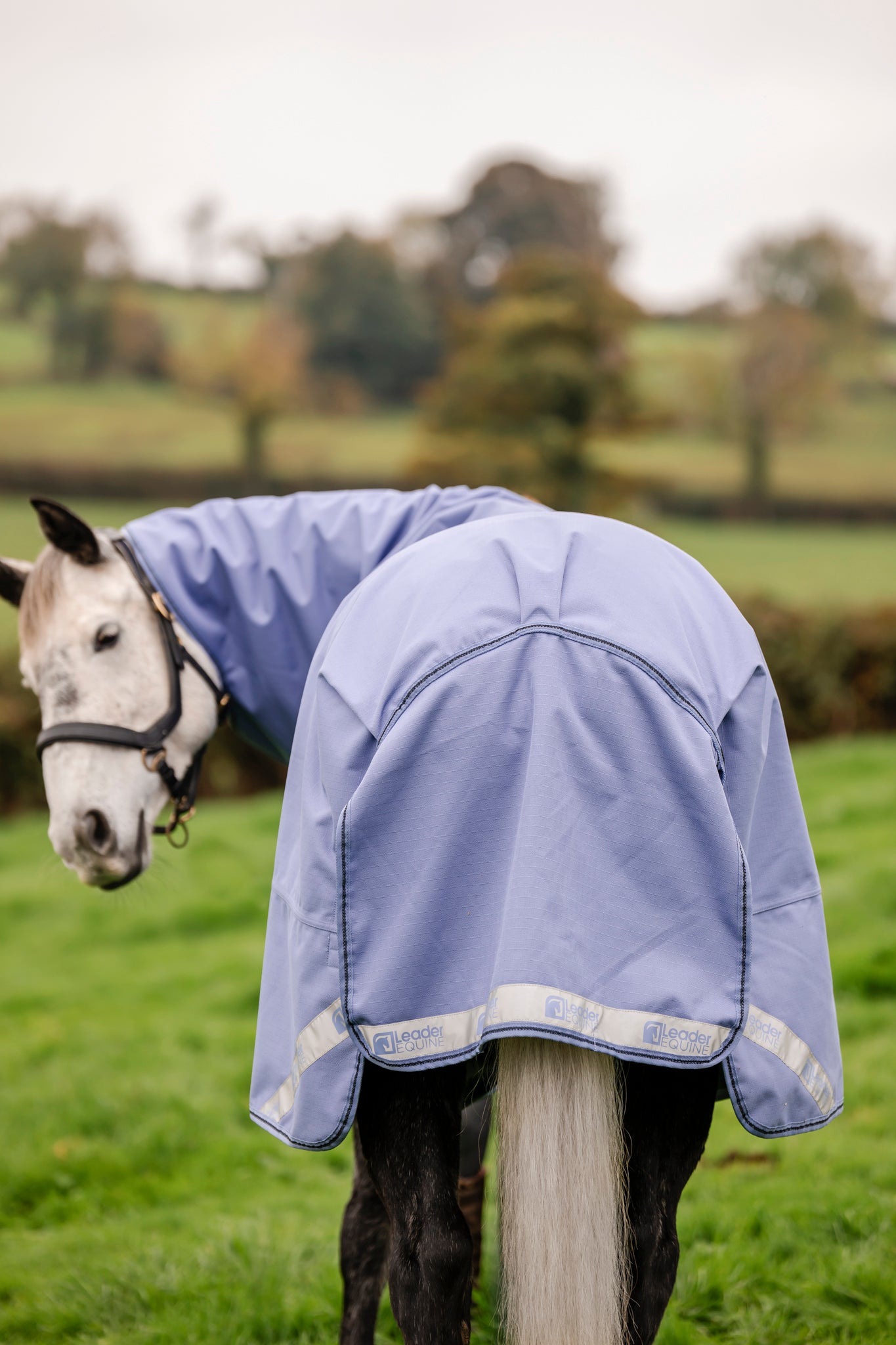 LE Boxter Turnout Ripstop 50g