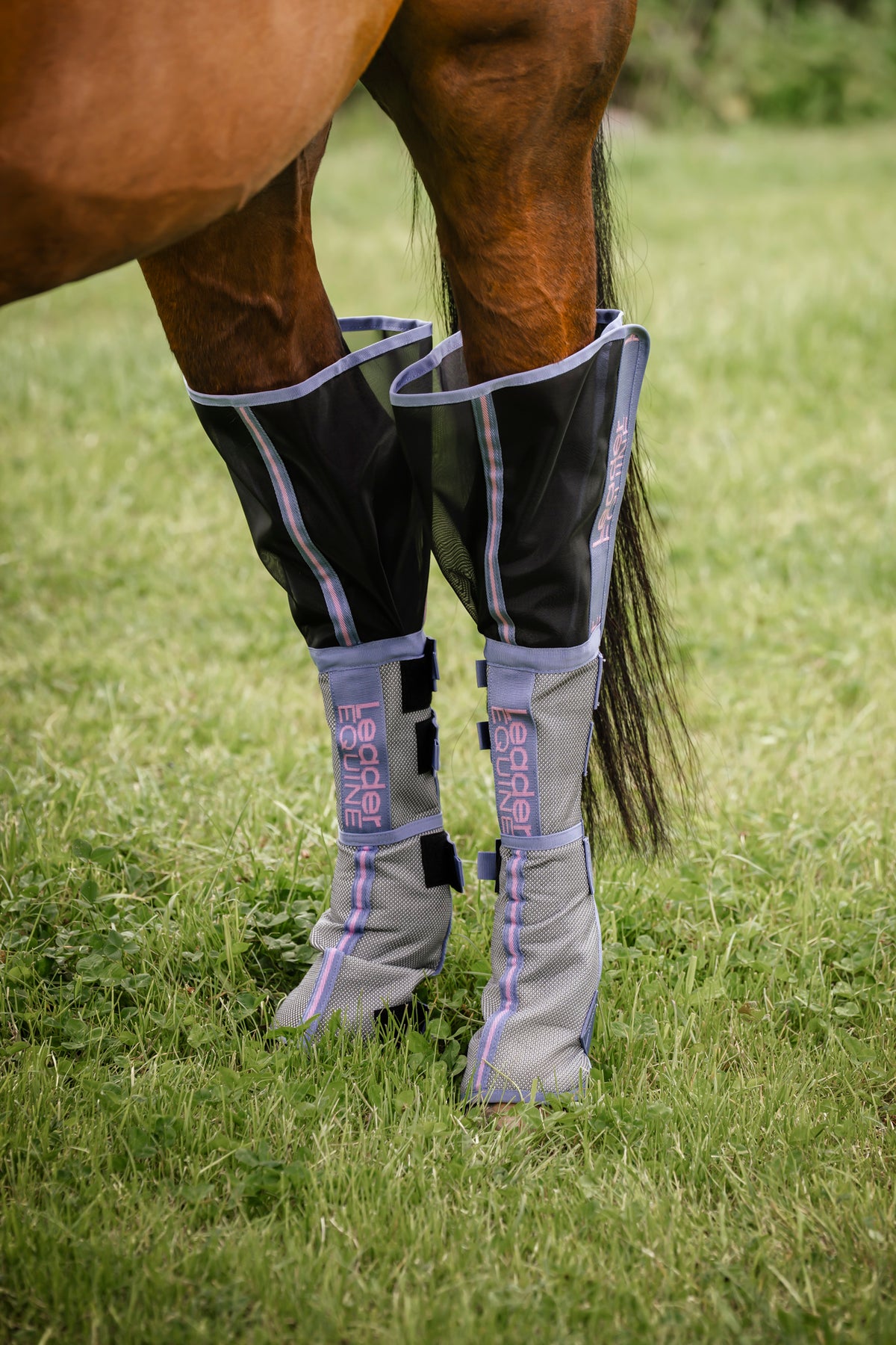 LE Defender Plus Fly Boots