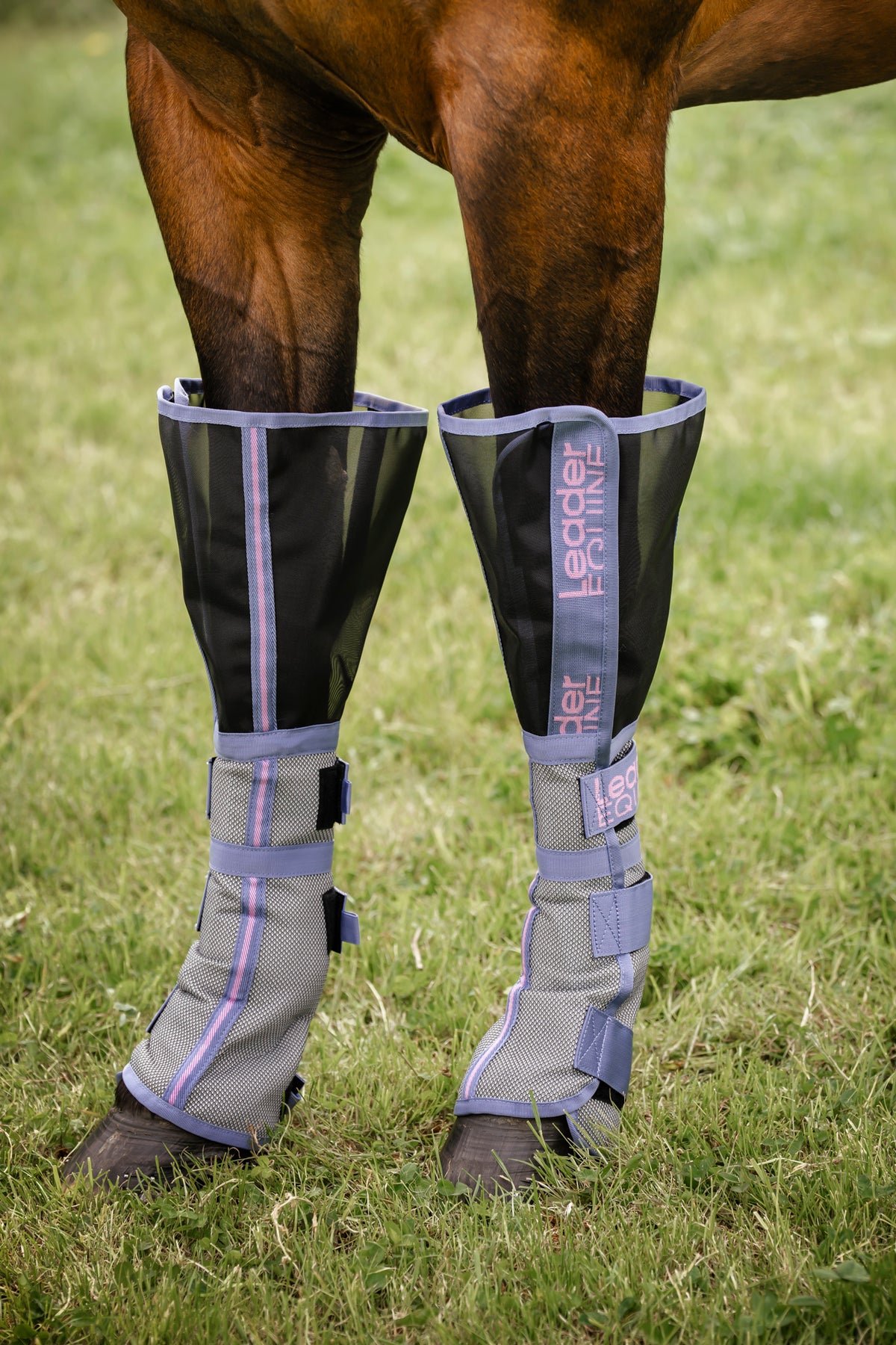 LE Defender Plus Fly Boots