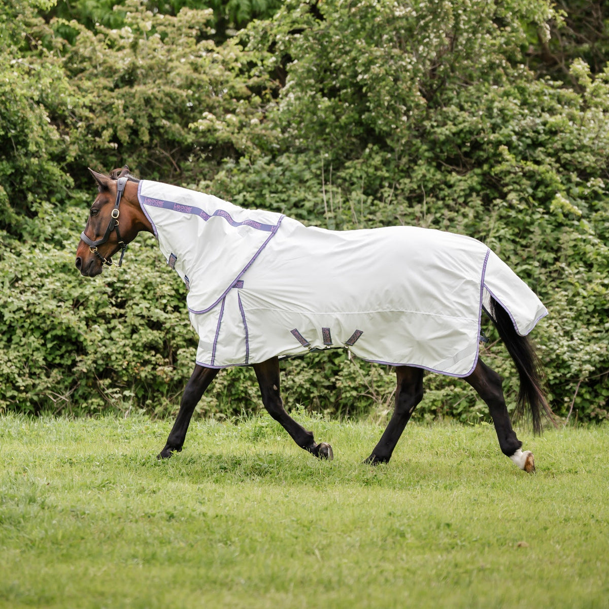 LE Fieldsafe Summer Lightweight Sheet