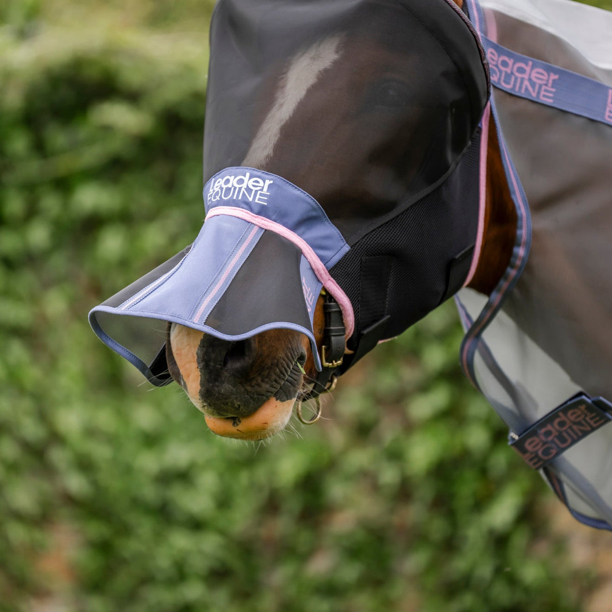 LE Outback Flymask Nose