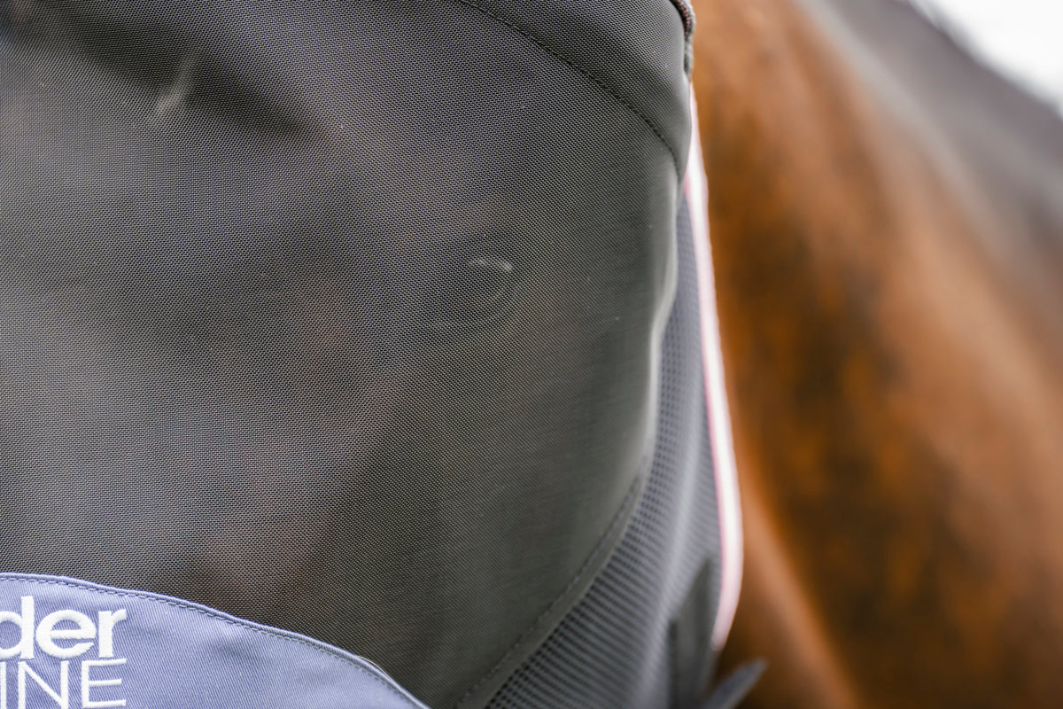 LE Outback Flymask Original