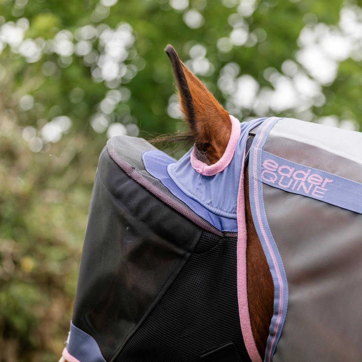 LE Outback Flymask Original