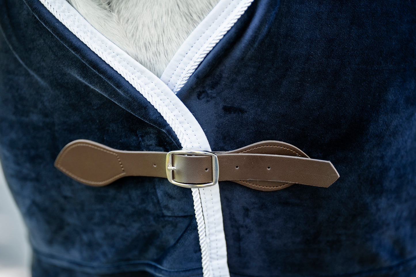 LE Champion Show Rug Double Velvet