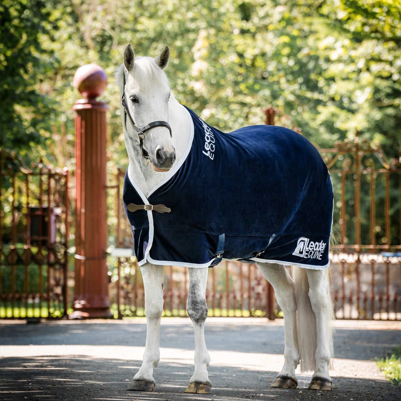 LE Champion Show Rug Double Velvet