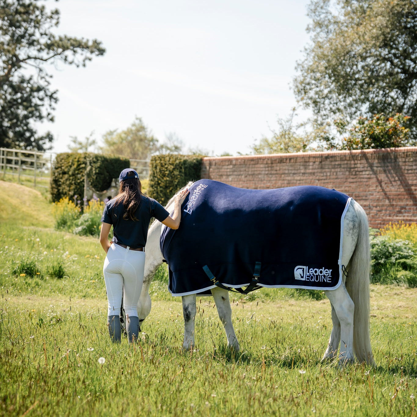 LE Champion Show Rug Double Velvet