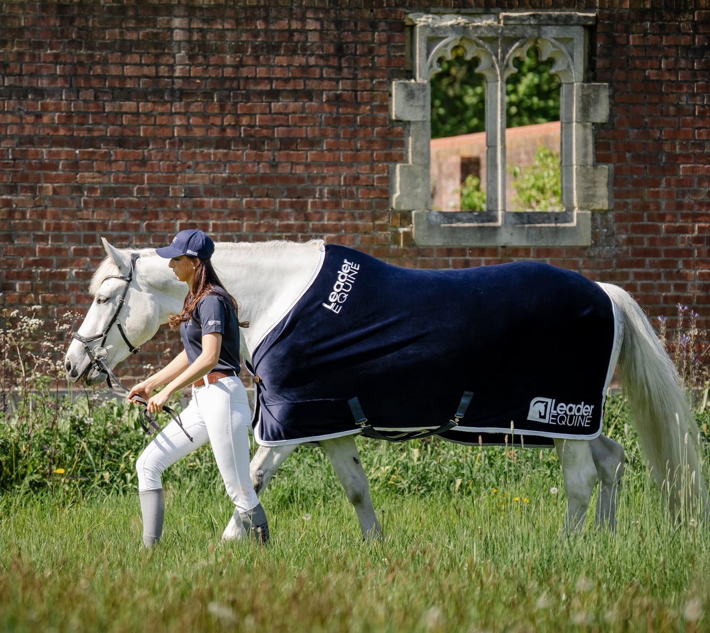 LE Champion Show Rug Double Velvet
