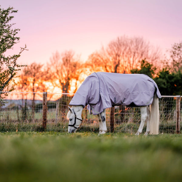 LE Boxter Turnout 0g