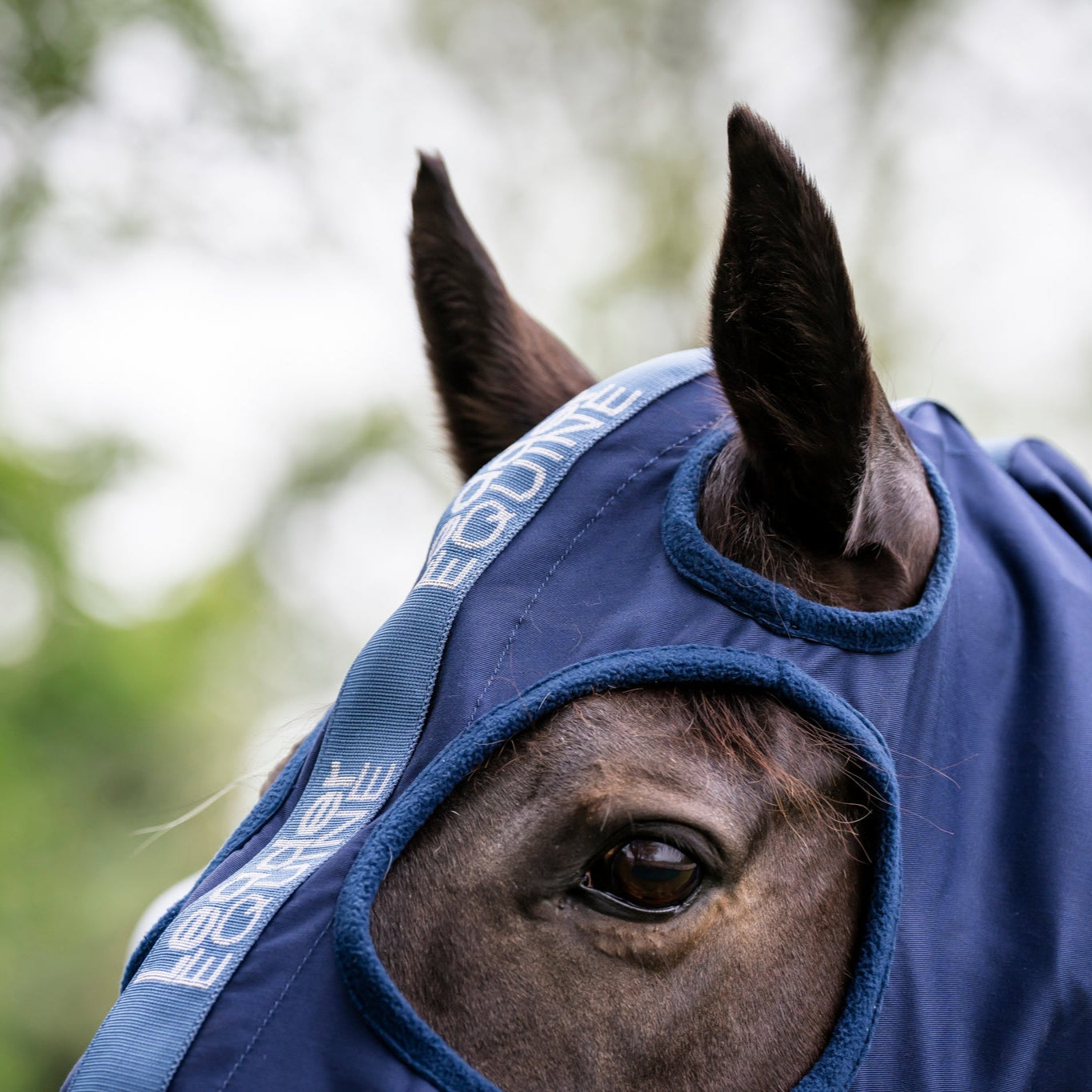 LE Universal Show Hood