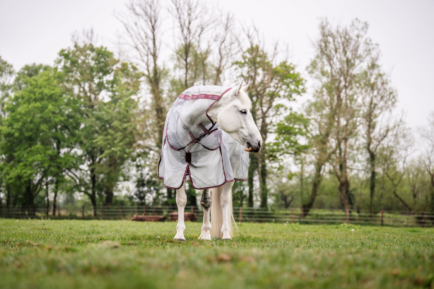 LE Defender Anti-Insect Fly Rug