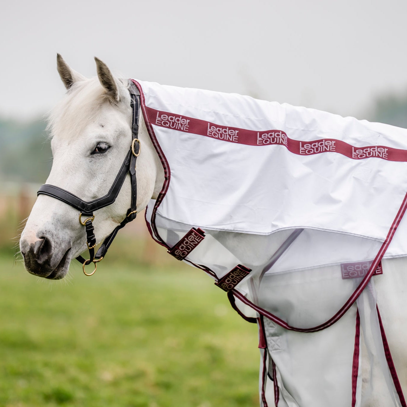 LE Breeze Summer Sheet with Fieldsafe Front