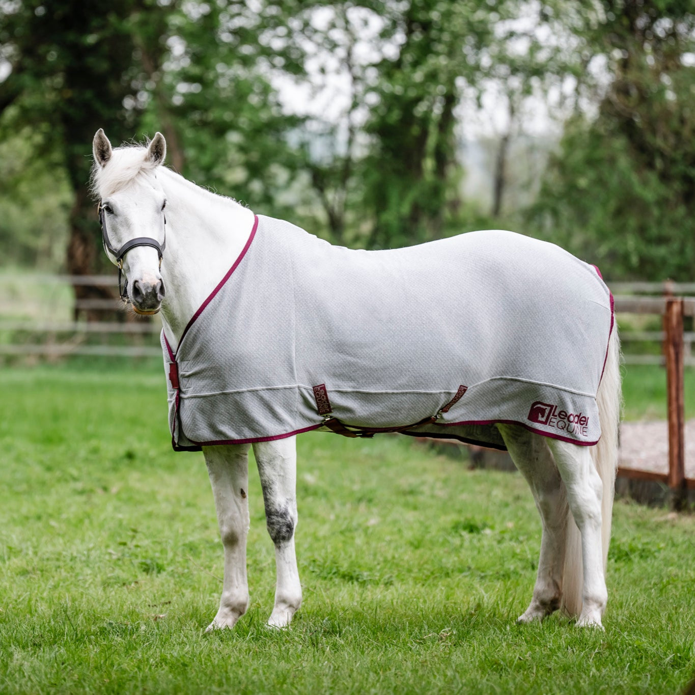 LE BaseLayer Cooler with Fieldsafe Front