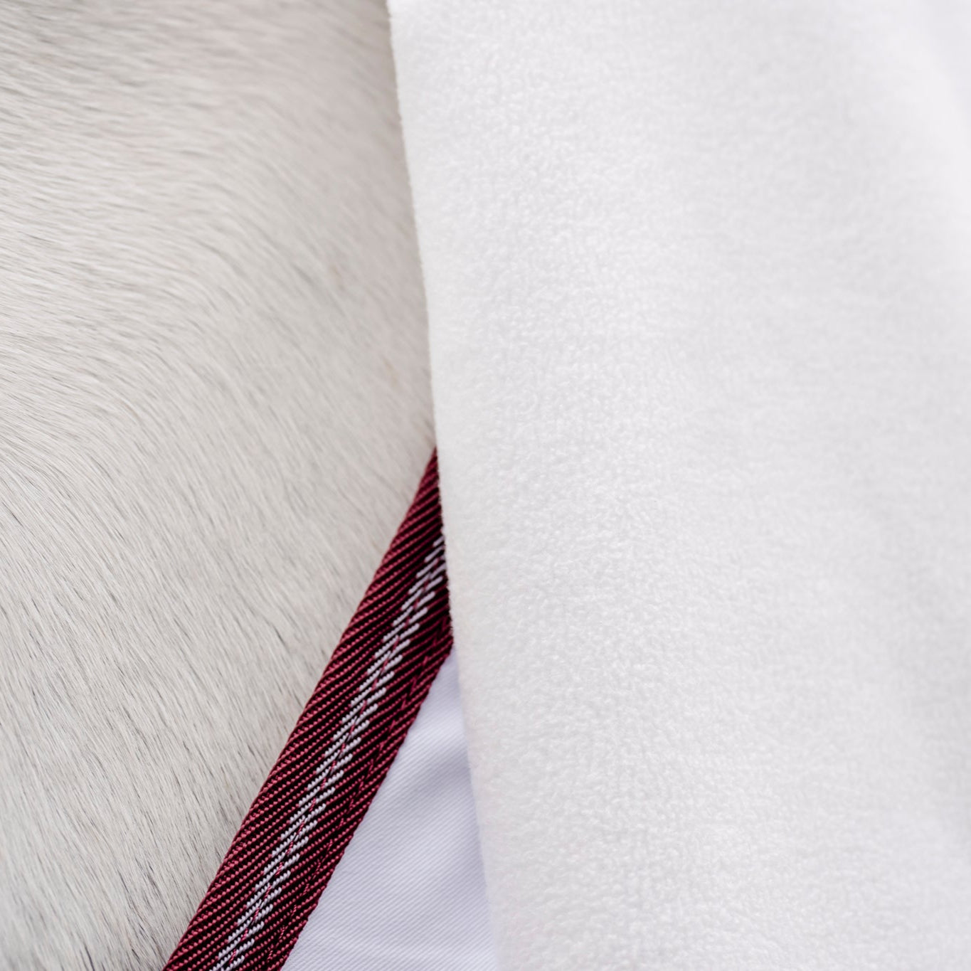 LE Canberra Sheet with Fieldsafe Front