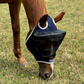 A brown horse wearing a black Leader Equine fly mask with fine mesh and a fleece edge.