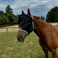 A brown horse wearing a black Leader Equine fly mask with fine mesh and a fleece edge.