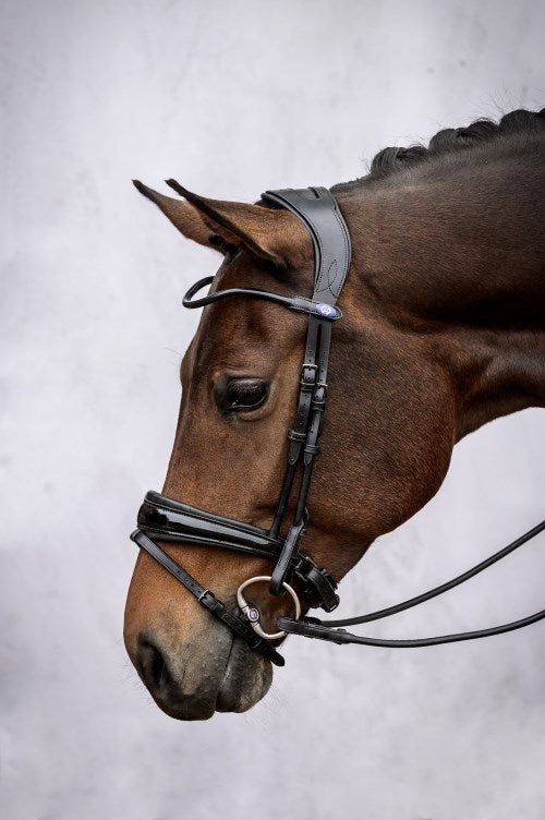 PSOS GP Lacquered Bridle