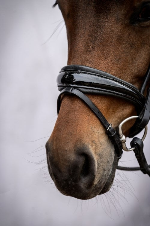 PSOS GP Lacquered Bridle