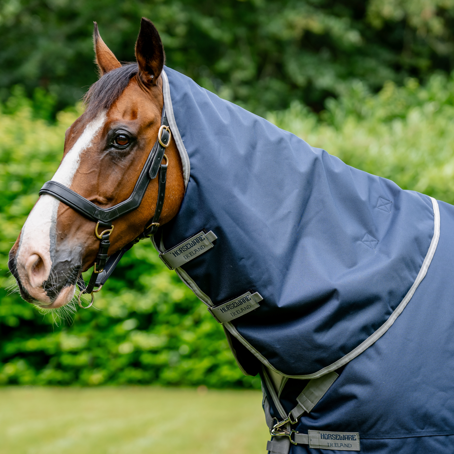 Amigo 1200D XL Turnout Neck Rug 150g