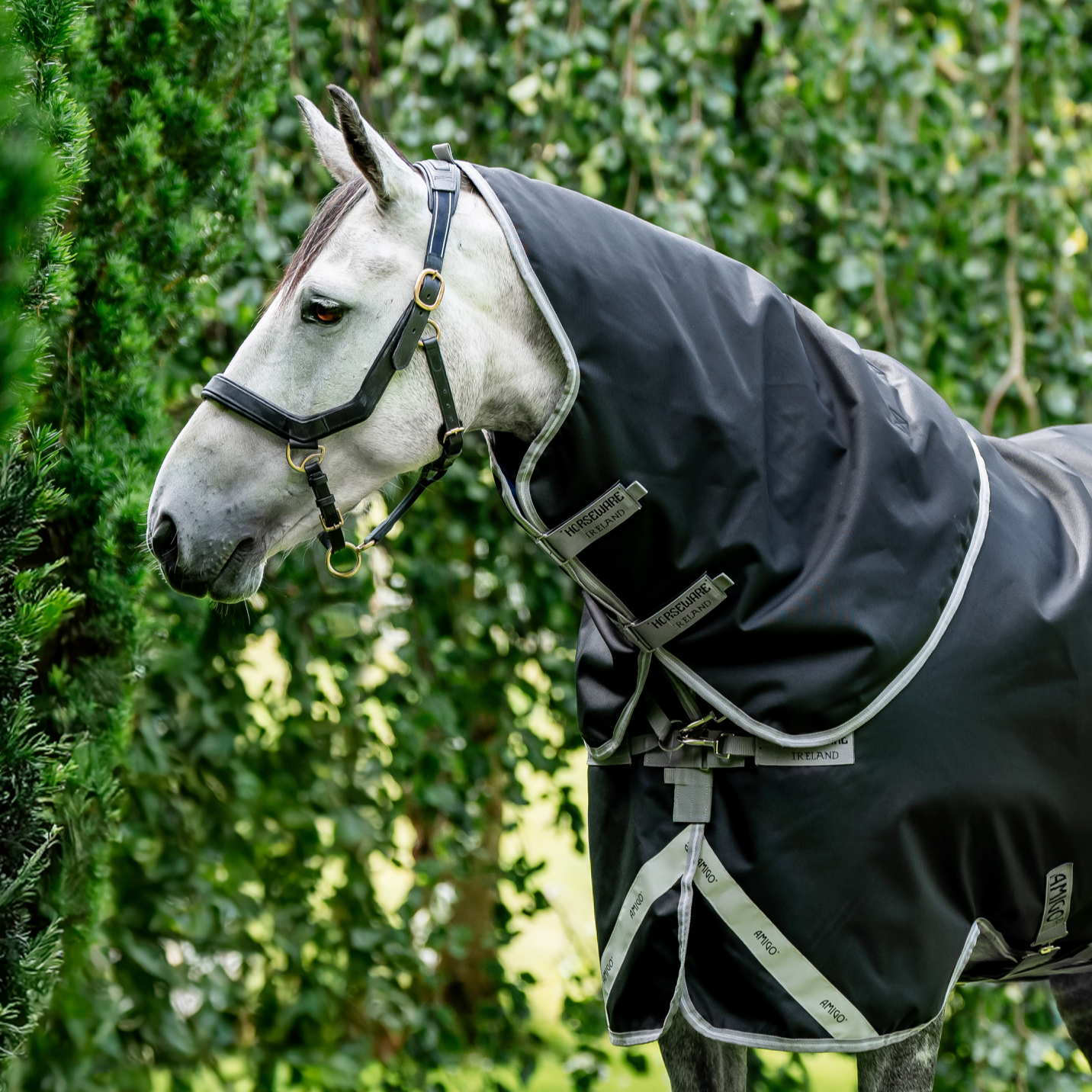 Amigo 1200D XL Turnout Neck Rug 150g