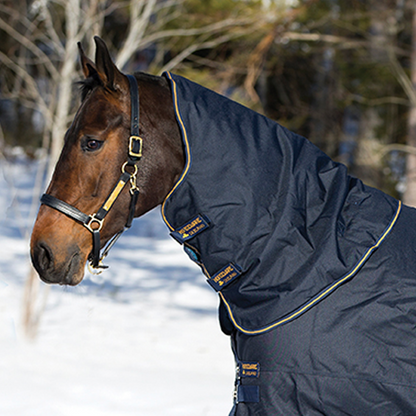 Amigo 1200D XL Turnout Neck Rug 150g