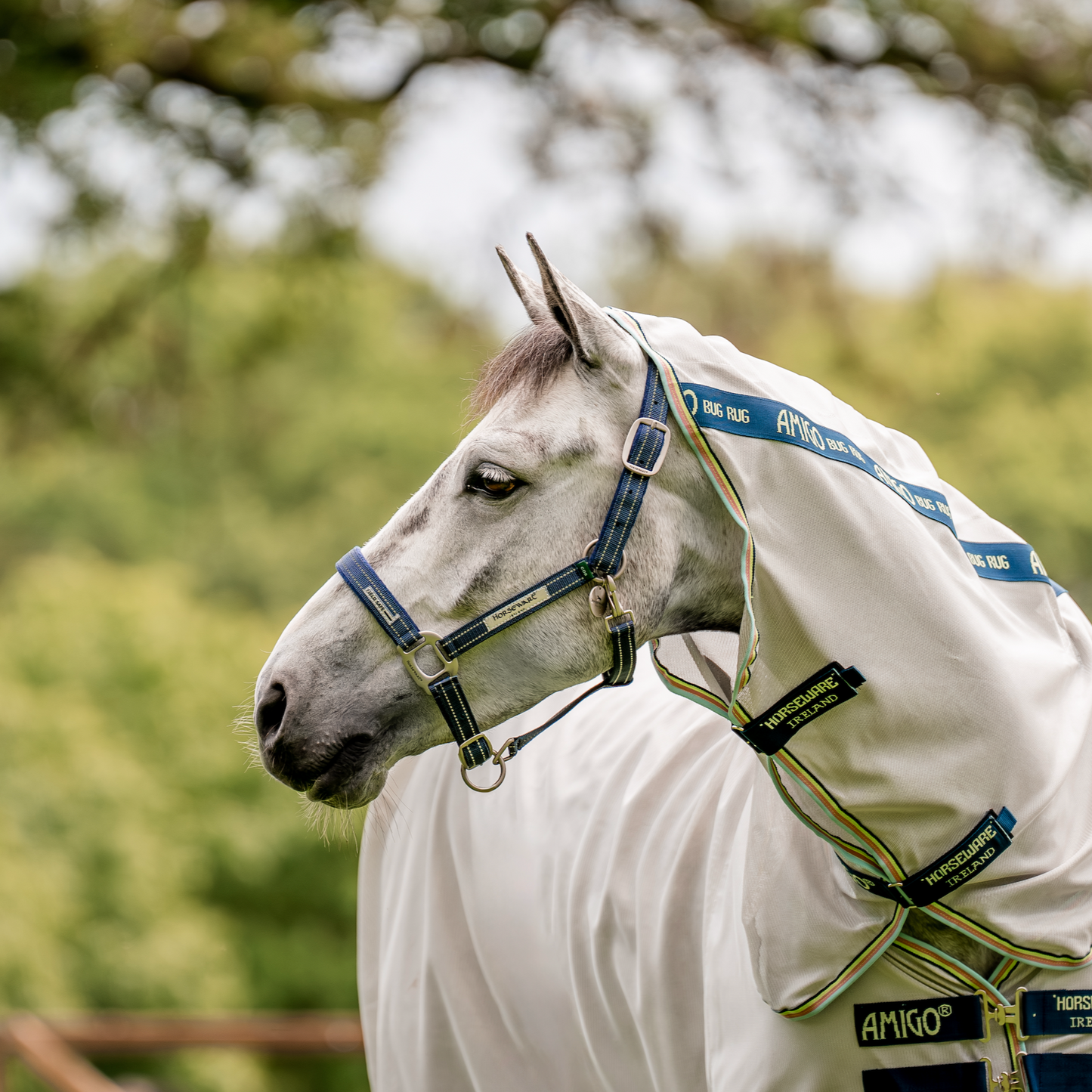 Field Safe Headcollar