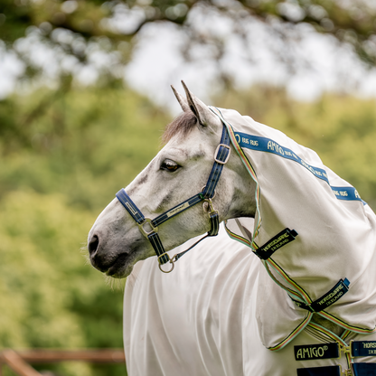 Field Safe Headcollar