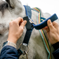 Field Safe Headcollar