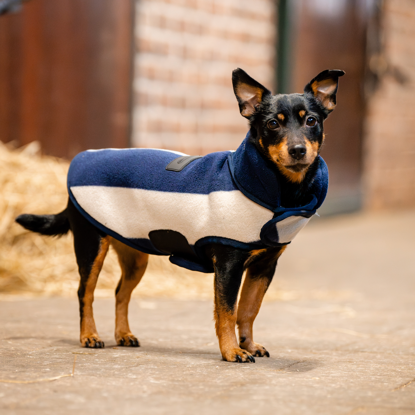 Horseware Signature Dog Fleece