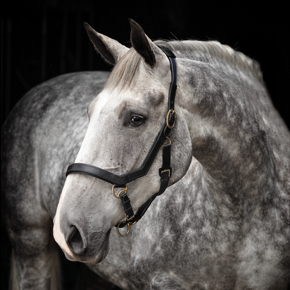 Rambo Micklem Headcollar