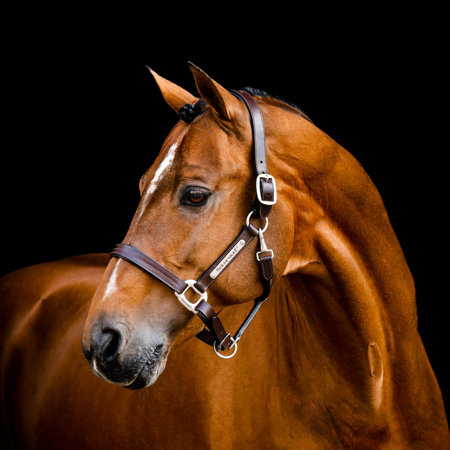 Horseware Signature Leather Headcollar