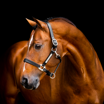 Horseware Signature Leather Headcollar