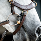 HW Micklem 2 Multi-Bridle