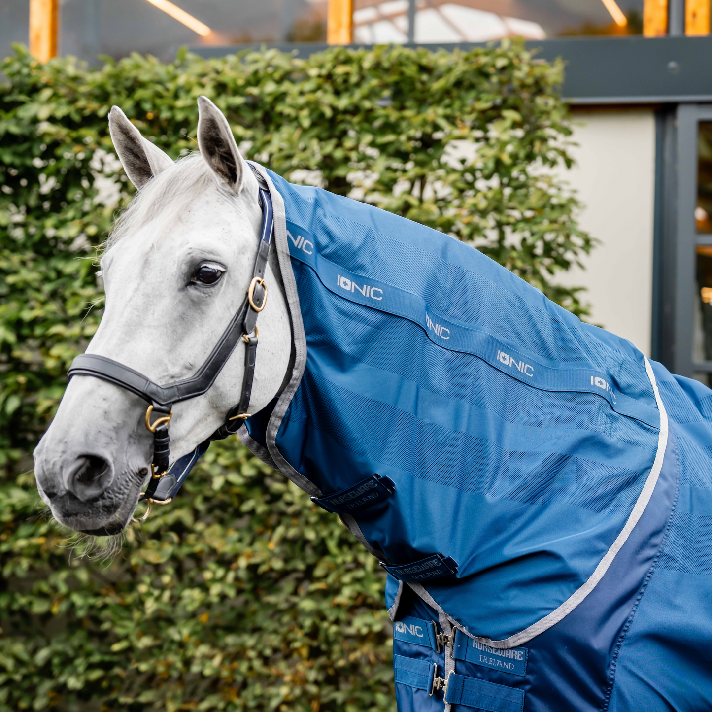 Horseware Ionic Therapy Mesh Cooler Neck Rug