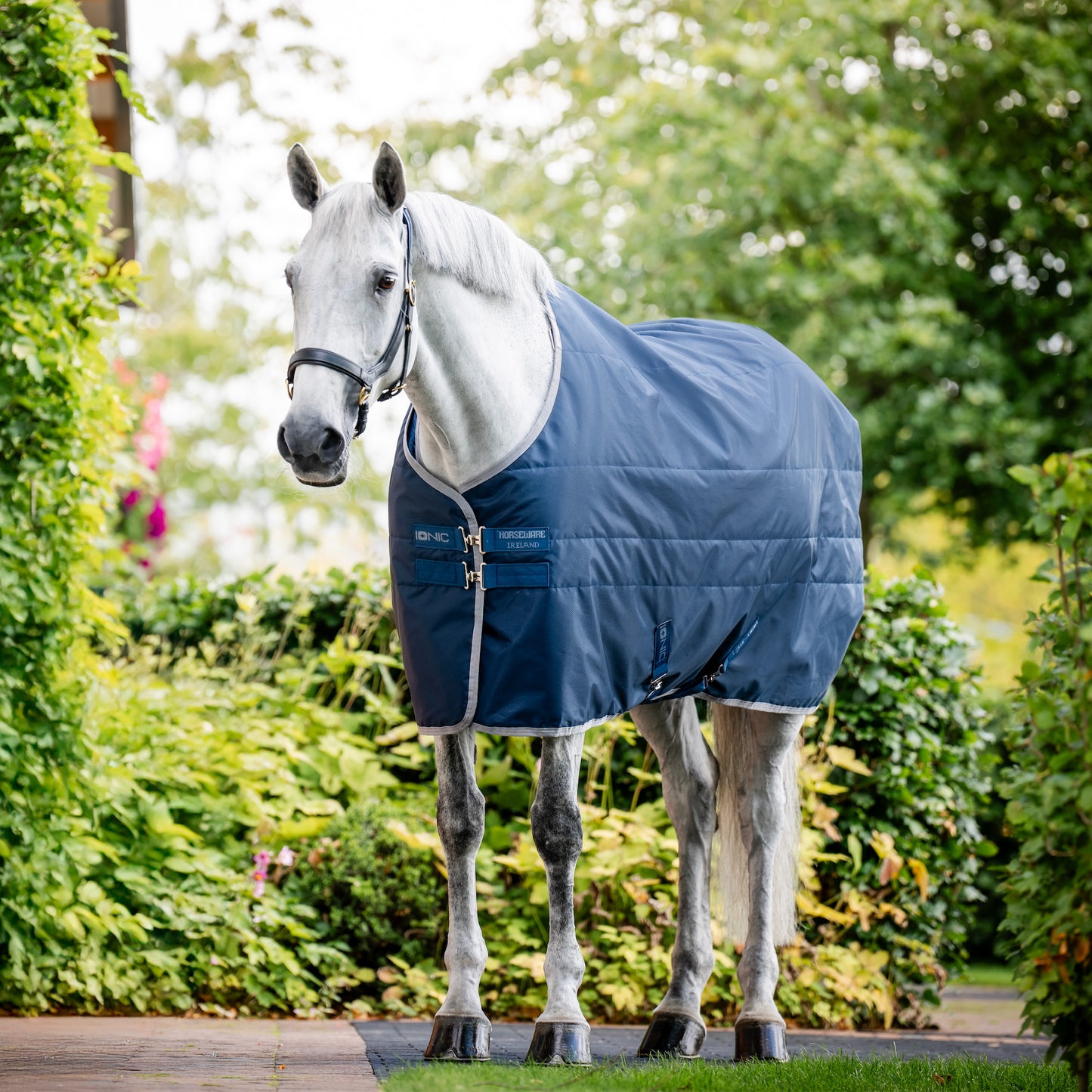 Horseware Ionic Therapy Stable Rug 50g