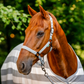 Horseware Newmarket Headcollar & Leadrope