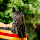 Horseware Newmarket Headcollar & Leadrope