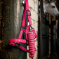 Horseware Newmarket Headcollar & Leadrope