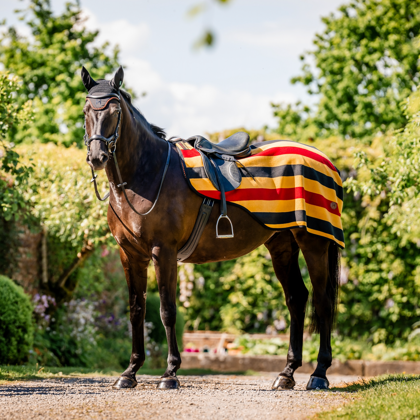 Horseware Newmarket Exercise Sheet