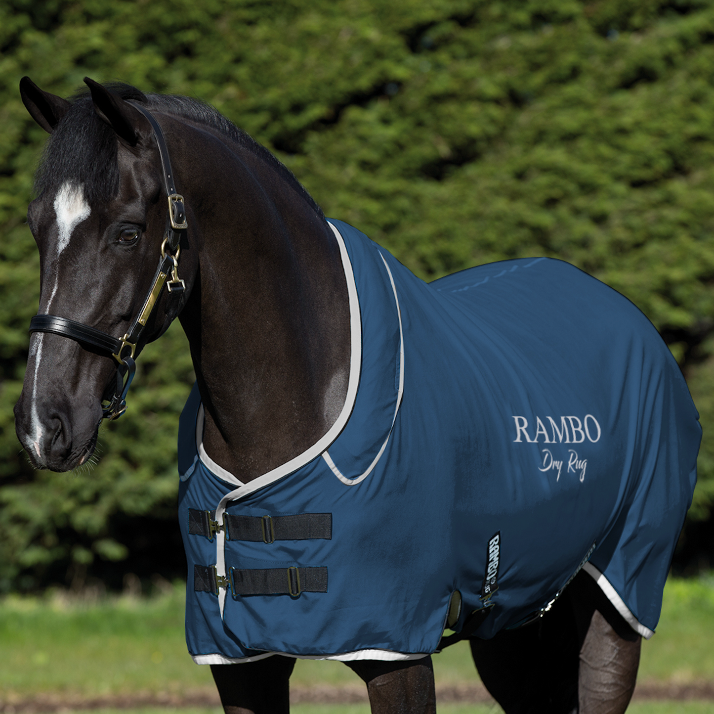 Rambo Supreme Dry Rug