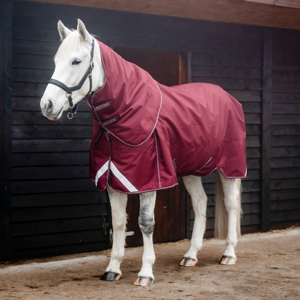 LE Boxter Stable Rug 100g