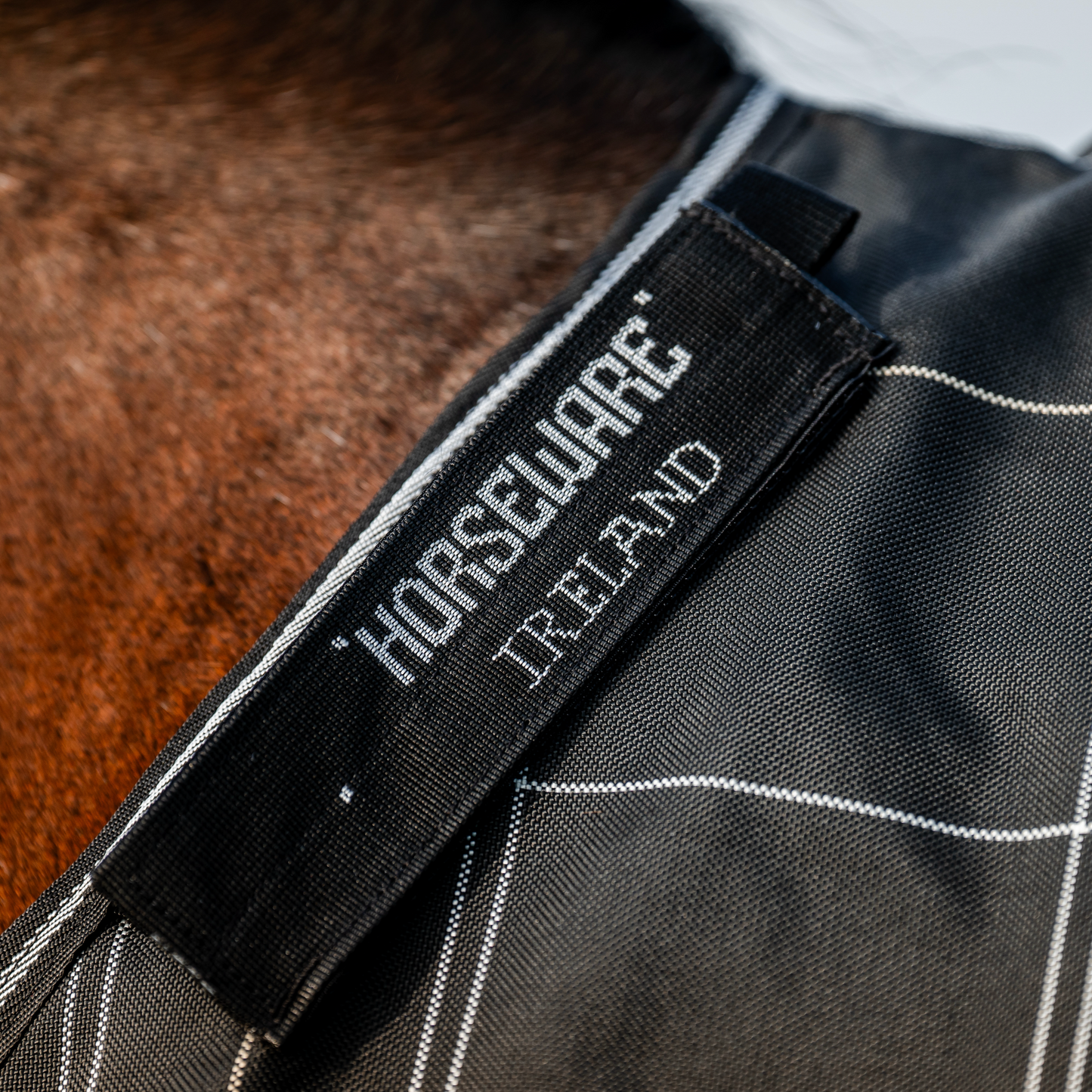 Rhino Plus Turnout Bundle (0g + 200g)