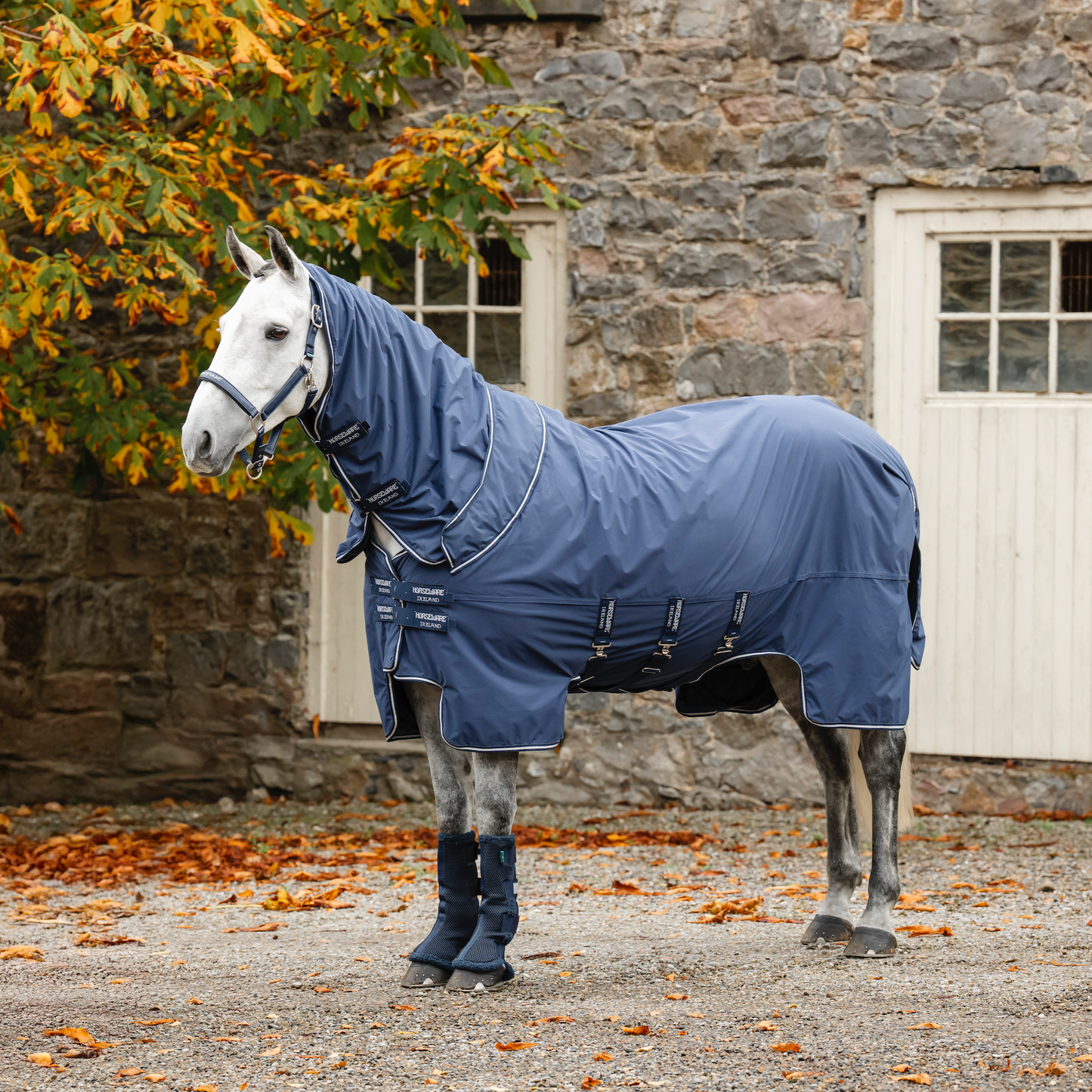Horseware Show Ready Rug