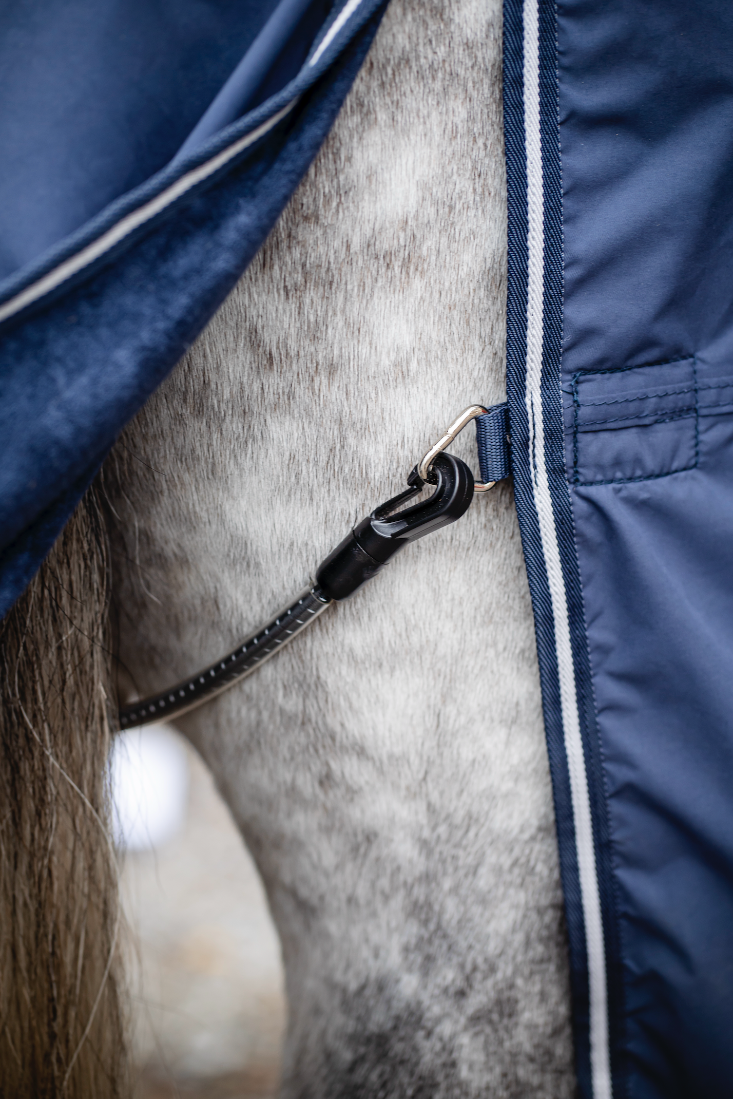 Horseware Show Ready Rug