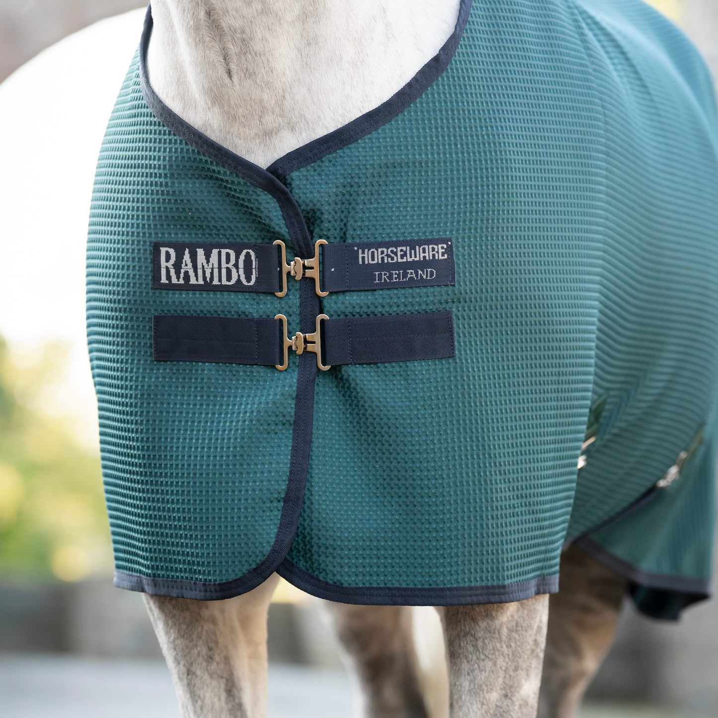 Rambo Techni Waffle Cooler
