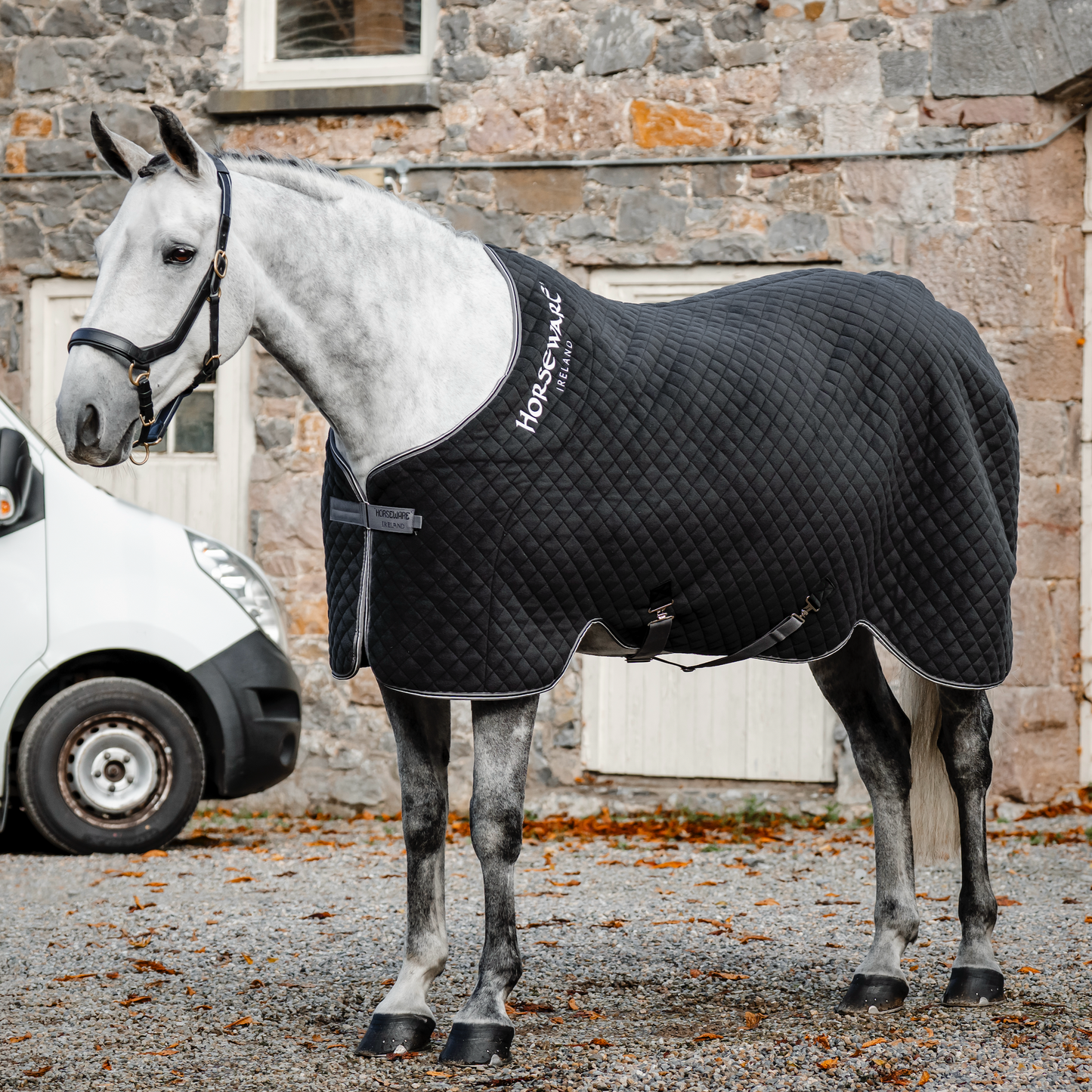 Horseware Thermal Cooler